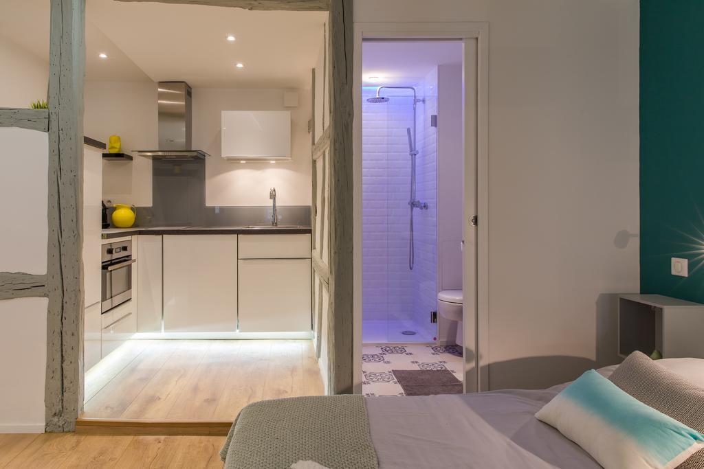 Grand Studio Colmar Centre الغرفة الصورة